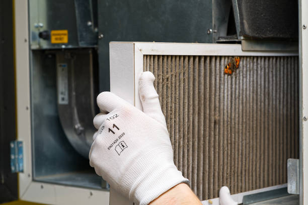 Best Affordable Duct Cleaning Services  in Clear Lake Shores, TX